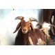 Kenguri Sheep Kid