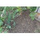 Eco-Friendly Sheep & Goat Manure - 5Kg | All-Natural Soil Booster for Gardening, Crops & Lawns | Organic Soil Conditioner