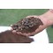 Eco-Friendly Sheep & Goat Manure - 5Kg | All-Natural Soil Booster for Gardening, Crops & Lawns | Organic Soil Conditioner