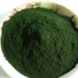 Spirulina for Animal Feed – 100gm | Natural Superfood Supplement for Poultry, Livestock, and Aquaculture