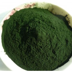Spirulina for Animal Feed – 100gm | Natural Superfood Supplement for Poultry, Livestock, and Aquaculture