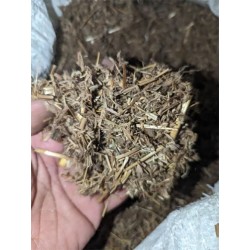 Stylo Hamata Grass Seeds – High-Protein Perennial Fodder Crop