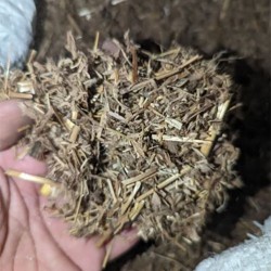 Stylo Hamata Grass Seeds – High-Protein Perennial Fodder Crop