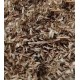 Stylo Hamata Grass Seeds – High-Protein Perennial Fodder Crop