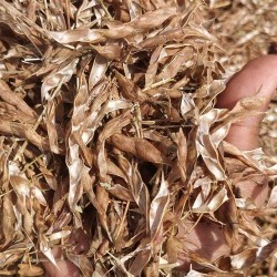 Tur Bhusa (Chilka) – High-Fiber Roughage for Cattle, Goats & Sheep