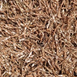 Tur Bhusa (Chilka) – High-Fiber Roughage for Cattle, Goats & Sheep