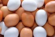 Poultry Eggs