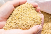 Poultry Feed Additives