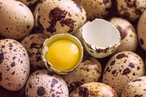 Quail Eggs