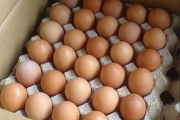 Country Chicken Eggs