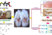 DL-Methionine For Poultry 200gm