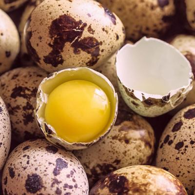 Q Eggs1