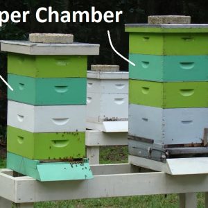 Hive Super Chamber_2