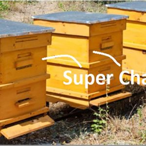 Hive Super Chamber_6