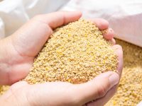 Poultry Feed Additives